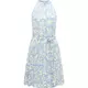 Ragwear Poletna obleka Angylee svetlo modra/bela