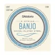 DAddario EJ60 5-String Banjo Nickel Light 9-20