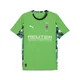 Mens Puma Borussia Mönchengladbach 25/26 Away Jersey, Green, Size M, Sport