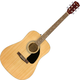 Fender FA-115 Dreadnought Pack Nat V2 WN