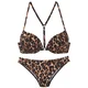 Bruno Banani Bikini bež/rjava/črna