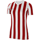 Jerey Nike Dri-FIT Diviion 4