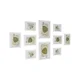 Songmics Komplet okvirjev za slike 10 kosov 20x25 cm 13x18 cm 10x15 cm bela