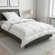 vidaXL Set odeje in blazine 2 pcs 140x200 cm 4 letni časi 220 GSM Bela
