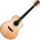 Washburn Bella Tono Allure SC56S Natural Elektroakustična jumbo