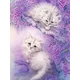 shumee Diamantno vezenje Dve beli mački 35x45 cm