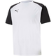 Puma teamPACER Jersey