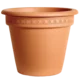 Saksija camellia 32cm