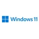 Win Pro for Wrkstns 11 ENG x64