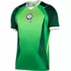Nike Dres Dri-FIT Nigeria Stadium Home 2026
