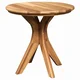 Vidaxl Stranska miza Rjava 55 x 55 x 51 cm Trden tikov les