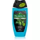 PALMOLIVE Muški gel za tuširanje Revitalising Sport, 250ml