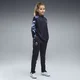 PUMA Premier League Reactivity Training Pants Youth, Clothing, Navy/White/Hero Blue, 13-14Y