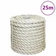 Vidaxl Vrv iz 100 % sisala 20 mm 25 m