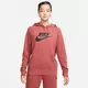 Nike W NSW ESSNTL HOODIE PO HBR, ženski pulover, crvena DX2319