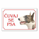 Tabla Čuvaj se psa - BUL TERIJER