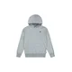 Levis Otroški pulover MINI BATWING PULL OVER HOO