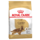 ROYAL CANIN Suva hrana za odrasle Engleske i Američke koker španjele 3kg