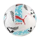 Puma Orbita La Liga 1 Football, White, Size 3, Accessories