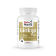 Ginko biloba 100 mg, 120 kapsula