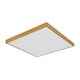 Globo 12382-30 - LED plafonsko svetlo TIBEY LED/30W/230V 45x45 cm