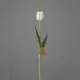 Umetni tulipan krem 50 cm Real touch