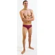 Mens swimsuit finis brief solid cabernet m - uk34