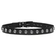 Pas Skull - PAS-236