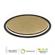 LED plafonjera LP-403-30R