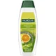 PALMOLIVE Šampon za masnu kosu Naturals 350ml