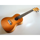 KALA EYOTIC MAHOGANY PLY COCNERT UKULLELE KA-CEM incl. gigbag