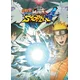 Naruto Shippuden: Ultimate Ninja Storm 4 Steam Key GLOBAL
