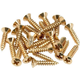 Fender Pickguard/Control Plate Mounting Screws Gold 24 Pack