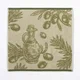 Kuhinjska brisača 50 x 50 cm, olive - zelena