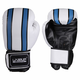 Boxing gloves rukavice za boks