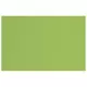 Papir u boji B2 220g Elle Erre Fabriano 42450710 zeleni (verde pisello) pk20