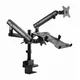 GEMBIRD MA-DA3-02 Podesivi stoni drzač za monitor, 17-32, 2x8kg + nosač za laptop