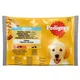 Pedigree Junior piščanec/govedina v želeju 4 x 100 g