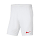 Nike Hlače obutev za trening bela 183 - 187 cm/L Park Iii