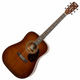 Cort Earth 70 Brown