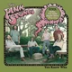 The Pink Stones - You Know Who (Limited Edition) (LP)
