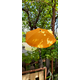 Suncobran za kolica – poliester, narančasti