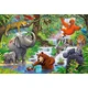 Castorland - Puzzle Jungle Animals 50 maxi - 40 - 80 kosov