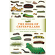 The Book of Caterpillars: A Life-Size Guide to Six Hundred Species from Around the World