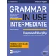 Grammar in Use Intermediate Students Book with Answers and Interactive eBook (Kniha)