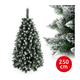 Božično drvce TAL (250cm), bor