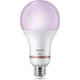 PHILIPS PAMETNA ŽARNICA WFB 150W A80 E27 922-65 RGB 1PF/6 8719514437319