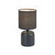 RABALUX Daphni 74056 Stona lampa