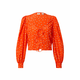 LEVIS Bluza, oranžna