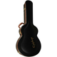 EPIPHONE KOVČEK ZA KITARO EL-00